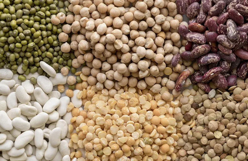 close up view various beans arrangement